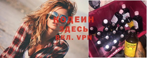 индика Ельня