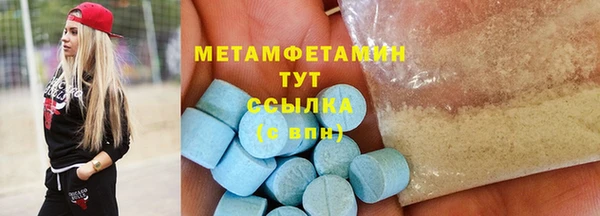 индика Ельня