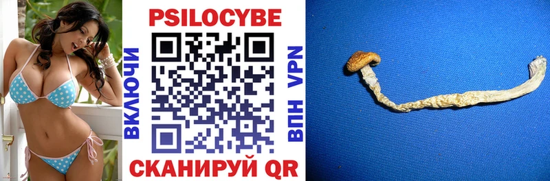 Купить где  Касимов  Псилоцибиновые грибы мицелий 